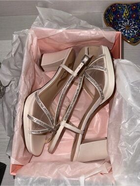 Nina Shoes Blush Satin T-Strap Block Heel Sandals with Crystal Accents